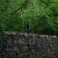 a man standing on a stone wall in the woods